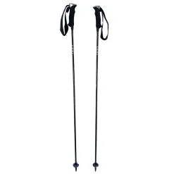 Bâtons De Ski Leki Carbon