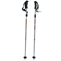 Bâtons De Ski Télescopiques Rossignol Alu Marron