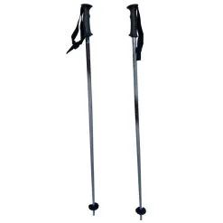 WEDZE Bâtons De Ski Wed'ze Argent / Noir